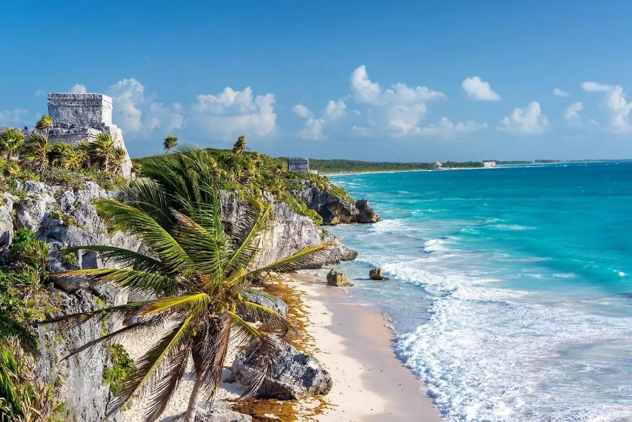 5Star Luxury Condo-Cenote And Infinity Pool-New location