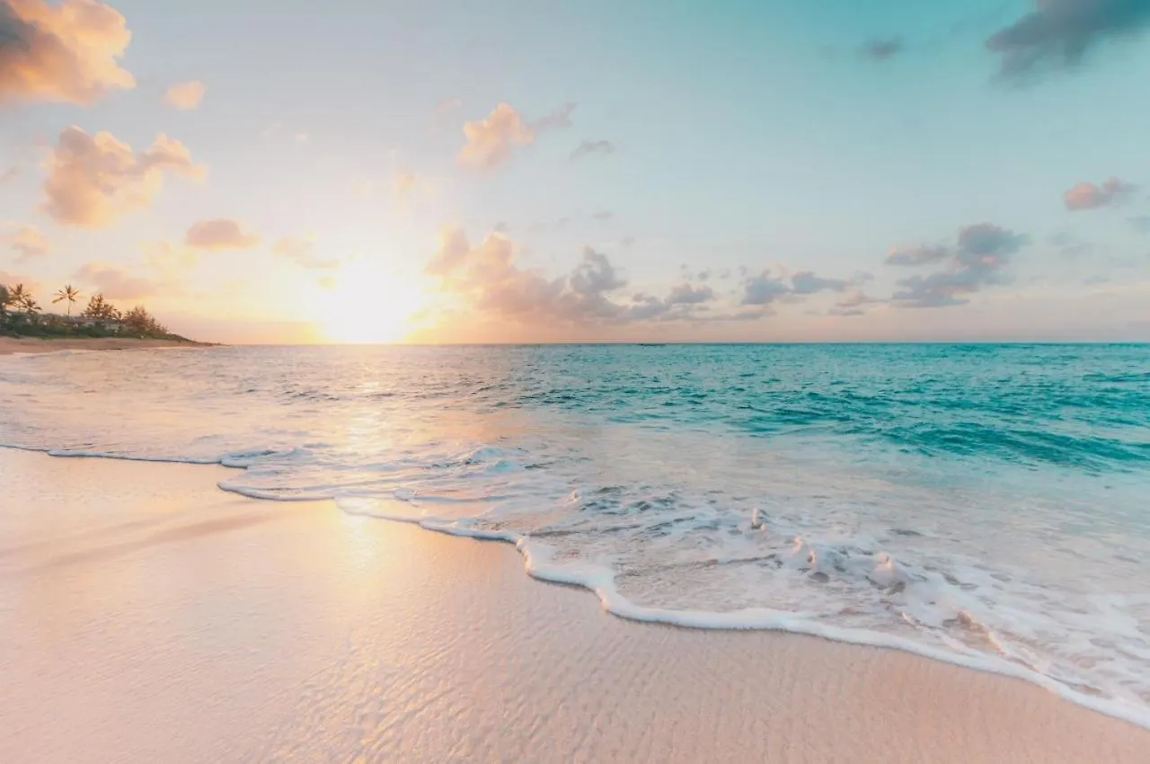5Star Luxury Condo-Cenote And Infinity Pool-New Tulum Apartment