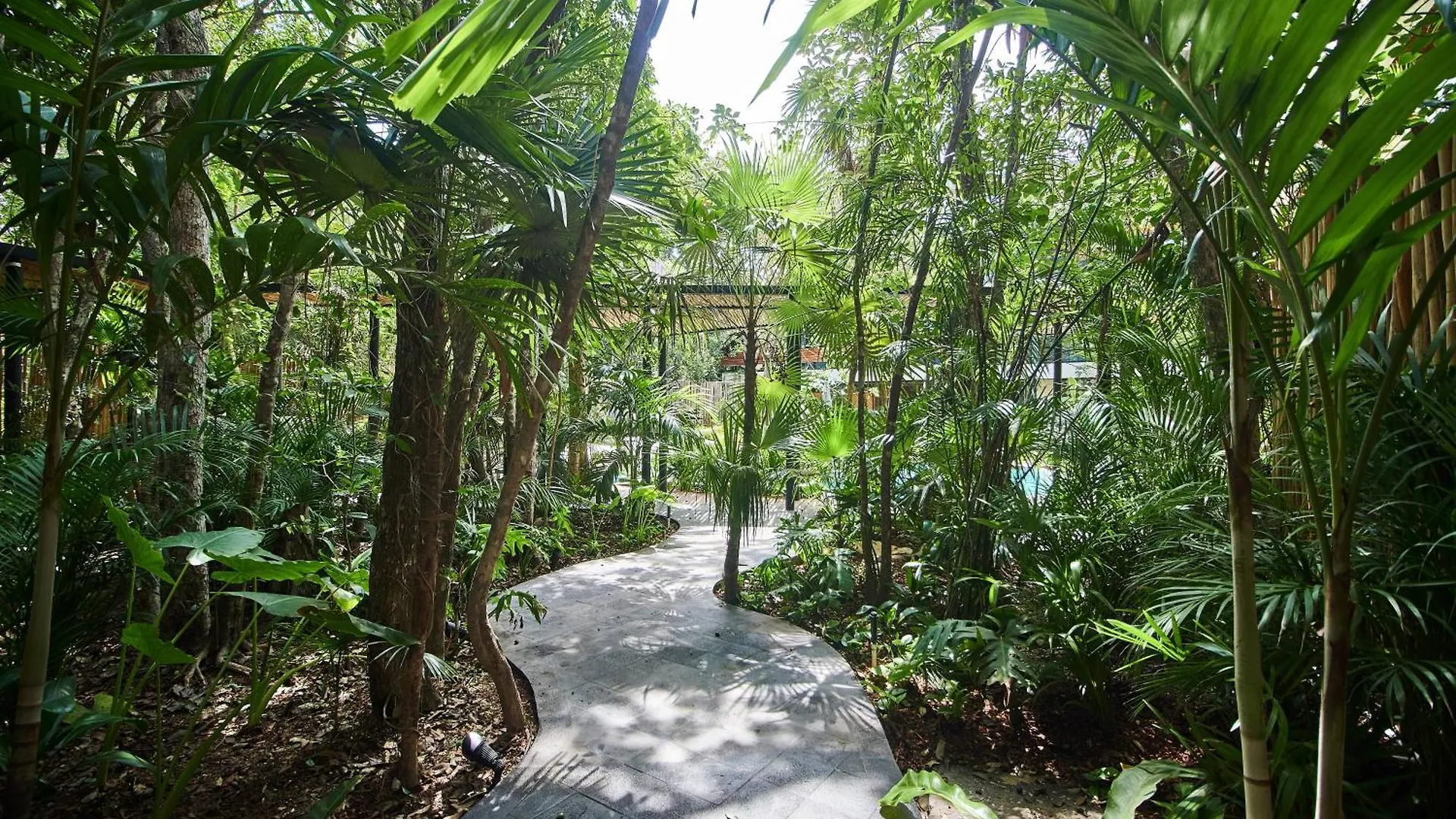 Apartment 5Star Luxury Condo-Cenote And Infinity Pool-New Tulum Mexico